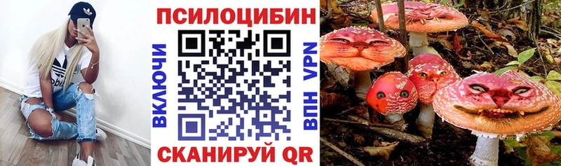 Псилоцибиновые грибы MAGIC MUSHROOMS  где можно купить наркотик  Берёзовка 